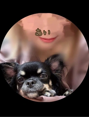 [お題]どっち？