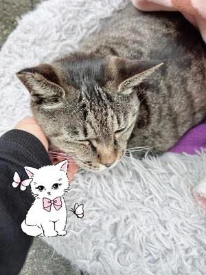 アルビオンでフェイシャル