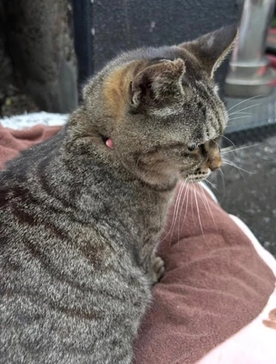 みたよ／キングダム