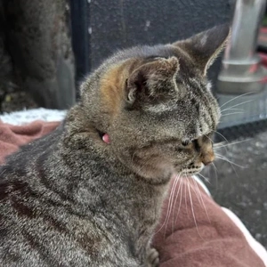 みたよ／キングダム