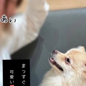 木曜日おつかれさま