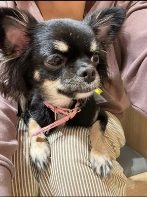 [お題]／みたよ