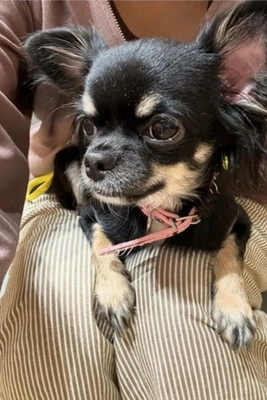 ありがと／シフト