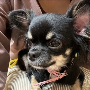 ありがと／シフト