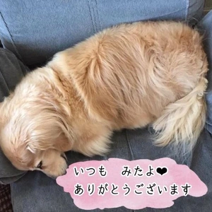 みたよ　（予約投稿）