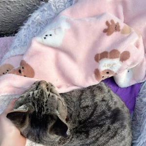 [お題]／みたよ