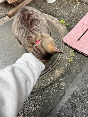 みたよ／歓迎会やる？やらない？