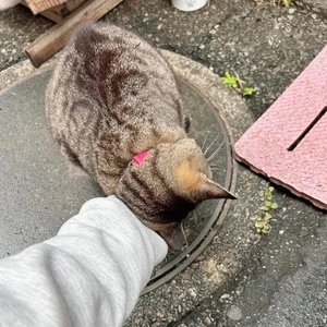 みたよ／歓迎会やる？やらない？