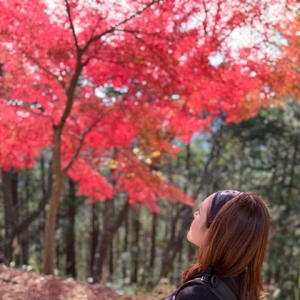 やっと都内紅葉🍁も見頃です•*¨*•.¸♬︎