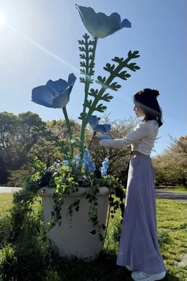 エイラスに変えましたあ😇