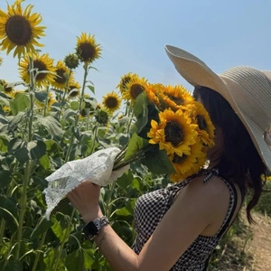 ひまわり🌻の寿命🙄🙄