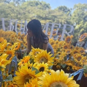 作り物の向日葵🌻の方が人が多かった。