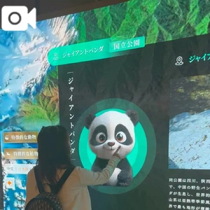 中国🇨🇳のパンダと遊んでる🐼🐼🐾ルイだよ🤭