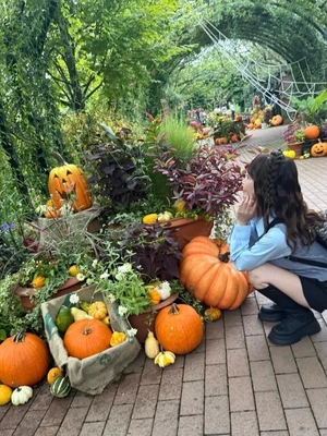 今年のハロウィン🎃は？騒がしいのかな？
