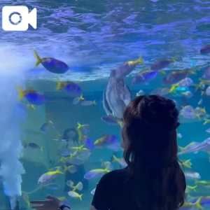 神戸の水族館🐟は...ちょっと違う😇