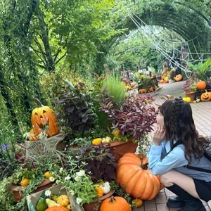 秋は、栗？かぼちゃ？🍁🍂おイモもあるね🙃