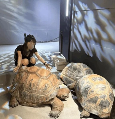 水族館🐟なのに?