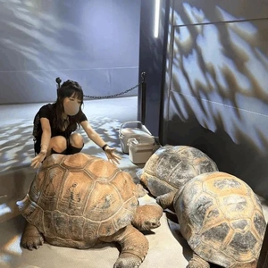 水族館🐟なのに？