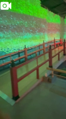 映えな水族館🐟 ✨️