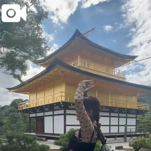 金閣寺の動画💛裏だけど。w
