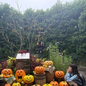 ことしのハロウィン🎃は?なにをする?