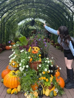 ハロウィン🎃らしい物がなにもない🫢🎃