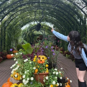 ハロウィン🎃らしい物がなにもない🫢🎃