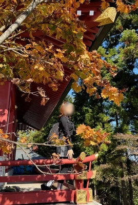 紅葉🍁三連休🍁楽しむ人は？いるかな🫢