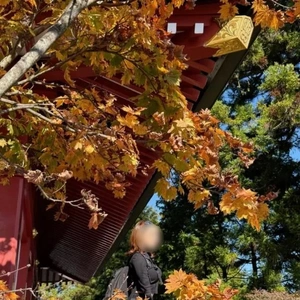 紅葉🍁三連休🍁楽しむ人は?いるかな🫢