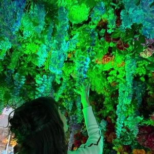 スマホ内に入ってる色んな歩数アプリ。