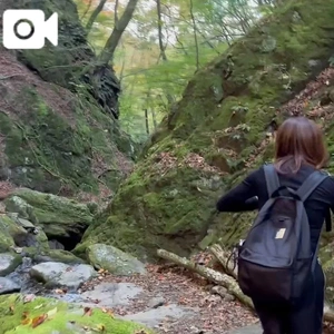 予定はやっぱり未定でした😭🍁🫩