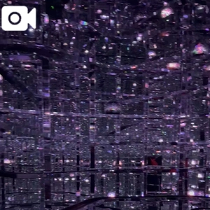 チームラボの音もすき🤍🤍