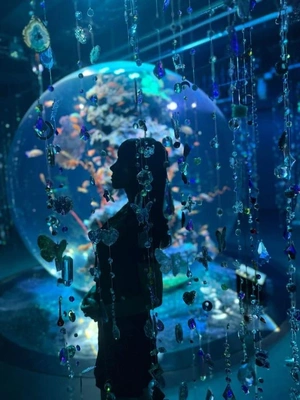 11月24日 ☀️晴れるのかな？