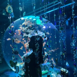 11月24日 ☀️晴れるのかな？