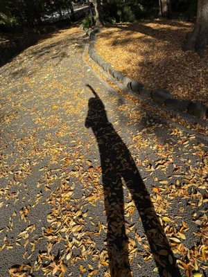 お天気☀️.°だから日向ぼっこしてたあ😇😇