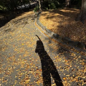 お天気☀️.°だから日向ぼっこしてたあ😇😇