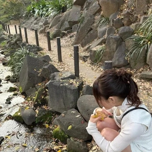 紅葉🍁葉の色付き具合💨