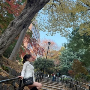 今日のシンデレラ💎みたよ。