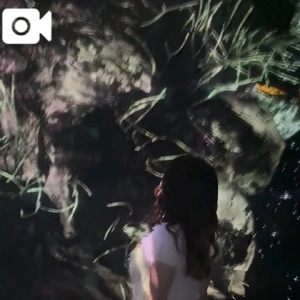 綺麗✨な動画をどうぞ🎥🎥