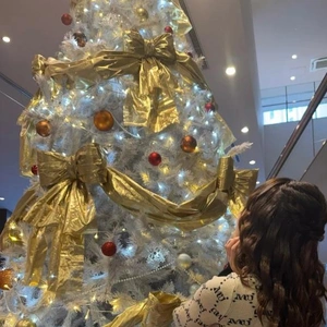 スカイツリーのクリスマス🎄ツリーだよ✨️