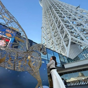 スカイツリーと馬とわたし。🩶🩶
