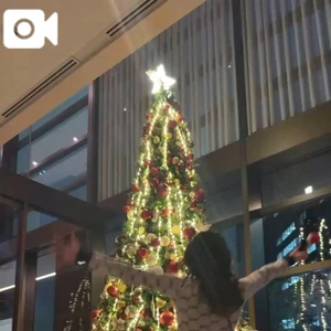 お店近くにある ピンクツリー🎄🎀💕💓