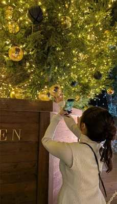 オーナメントは？なにがすき？😇