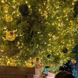 オーナメントは？なにがすき？😇