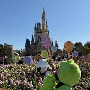 どの季節のディズニｰがすき？🌸🌻🍂❄