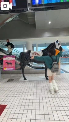 緑の芝生がある競馬場にも行ってみたい😇