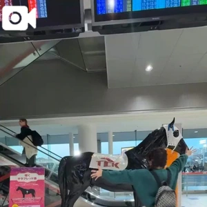 緑の芝生がある競馬場にも行ってみたい😇