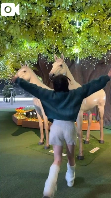 どうやら...大井競馬場のイルミネーション✨は？？