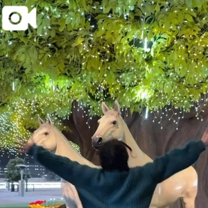 どうやら...大井競馬場のイルミネーション✨は？？