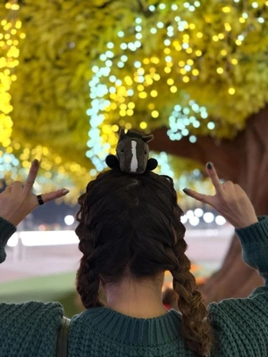 大井競馬場のイルミ✨だよおお。